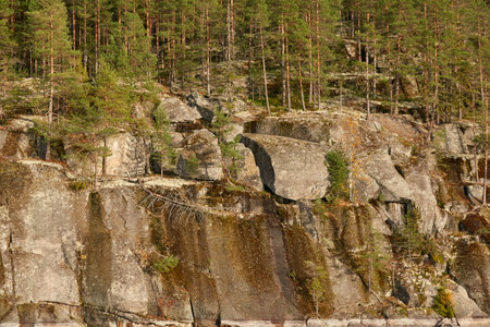 Rocky lake shore on a sunny day. Cliff, stones, majestic evergreen forest, mighty pine trees. Early autumn landscape. Finland, Finnish nature. Ecology, environment themesの写真素材