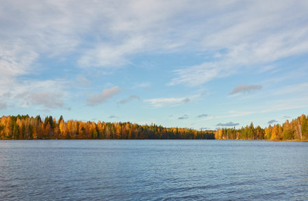 Panoramic view of the rocky forest lake shore on a sunny day. Autumn landscape. Finland, Finnish nature. Ecology, fresh air, ecotourism themesの写真素材
