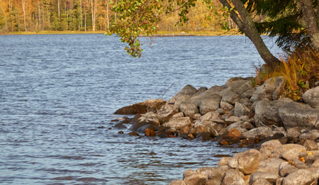 Panoramic view of the rocky forest lake shore on a sunny day. Autumn landscape. Finland, Finnish nature. Ecology, fresh air, ecotourism themesの写真素材