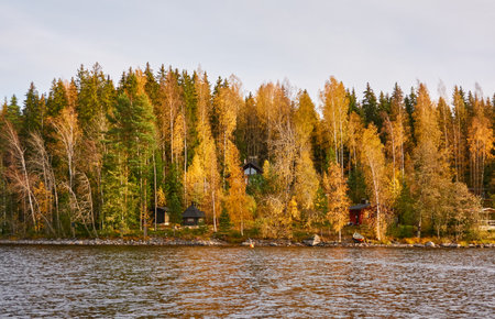 Rocky lake shore on a sunny day. Wooden house. Stones, forest, mighty pine and birch trees. Autumn landscape. Finland, Finnish nature. Ecology, fresh air, ecotourism, countryside life themesの写真素材