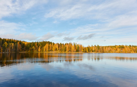 Panoramic view of the rocky forest lake shore on a sunny day. Autumn landscape. Finland, Finnish nature. Ecology, fresh air, ecotourism themesの写真素材