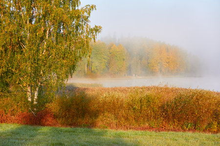 Forest lake in a morning fog. Finland. Scandinavia, Europe. Autumn landscape. Nature, seasons, ecotourism, peace and harmony conceptsの写真素材