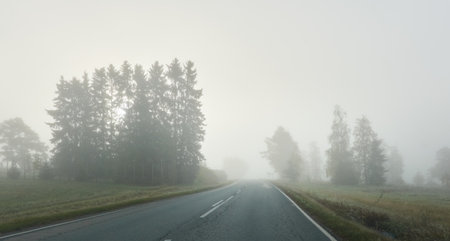 Empty asphalt road (highway) through the fields and forest. Thick fog. Concept autumn landscape. Transportation, dangerous driving, speed, freedom, travel, tourism, the way forward themesの写真素材
