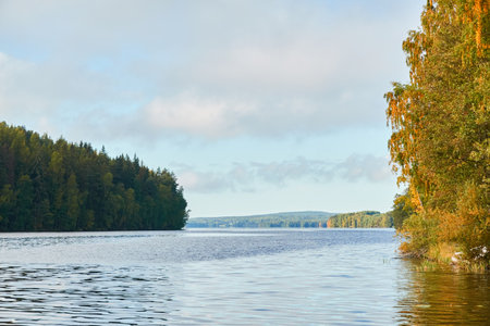 Forest lake on a sunny day. Finland. Scandinavia, Europe. Clear sky, glowing clouds. Autumn landscape. Nature, seasons, ecotourism, peace and harmony conceptsの写真素材