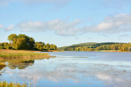 Forest lake on a sunny day. Finland. Scandinavia, Europe. Clear sky, glowing clouds. Autumn landscape. Nature, seasons, ecotourism, peace and harmony conceptsの写真素材