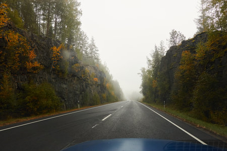 Empty asphalt road (highway) through the fields and forest. Thick fog. Concept autumn landscape. Transportation, dangerous driving, speed, freedom, travel, tourism, the way forward themesの写真素材