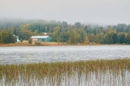 Lonely wooden farm house or shed in a fog at sunrise. Forest lake, meadow, overgrown agricultural field. Atmospheric autumn landscape. Finland. Nature, ecotourism, remote places themesの写真素材