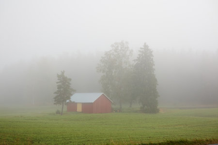 Lonely wooden farm house or shed (log cabin) in a thick fog at sunrise. Forest lawn, meadow, overgrown agricultural field. Atmospheric autumn landscape. Finlandの写真素材