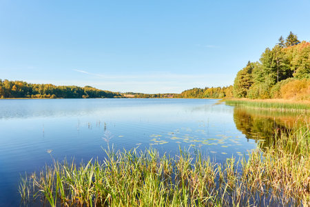 Forest lake on a sunny day. Finland. Scandinavia, Europe. Clear sky, glowing clouds. Autumn landscape. Nature, seasons, ecotourism, peace and harmony conceptsの写真素材