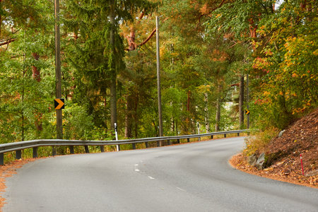 Empty asphalt road (highway) through the forest. Sharp turn. Concept autumn landscape. Transportation, dangerous driving, speed, freedom, travel, tourism, the way forward themesの写真素材