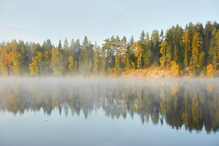 Forest lake in a morning fog. Clear blue sky, sunshine. Finland. Scandinavia, Europe. Autumn landscape. Nature, seasons, ecotourism, peace and harmony conceptsの写真素材