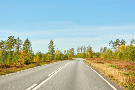 Empty asphalt road (highway) through the evergreen forest. Concept autumn landscape. Transportation, logistics, freedom, travel, tourism, wanderlust, the way forward themesの写真素材