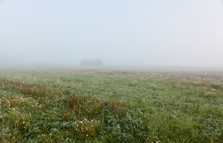 Lonely wooden farm house or shed (log cabin) in a thick fog at sunrise. Forest lawn, meadow, overgrown agricultural field. Atmospheric autumn landscape. Finlandの写真素材