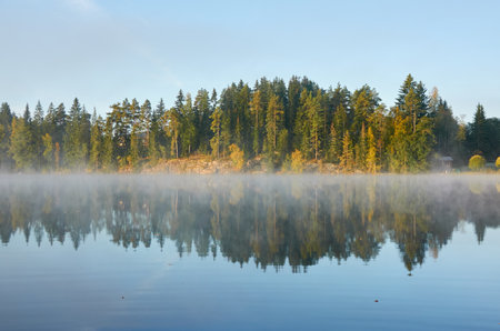 Forest lake in a morning fog. Clear blue sky, sunshine. Finland. Scandinavia, Europe. Autumn landscape. Nature, seasons, ecotourism, peace and harmony conceptsの写真素材