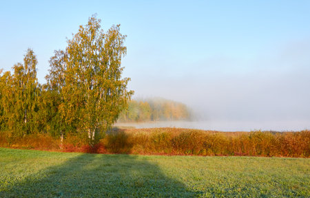 Forest lake in a morning fog. Clear blue sky, sunshine. Finland. Scandinavia, Europe. Autumn landscape. Nature, seasons, ecotourism, peace and harmony conceptsの写真素材