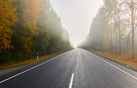 Empty asphalt road (highway) through the forest. Thick fog. Concept autumn landscape. Transportation, dangerous driving, speed, freedom, travel, tourism, the way forward themesの写真素材
