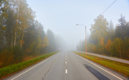 Empty asphalt road (highway) through the forest. Thick fog. Concept autumn landscape. Transportation, dangerous driving, speed, freedom, travel, tourism, the way forward themesの写真素材