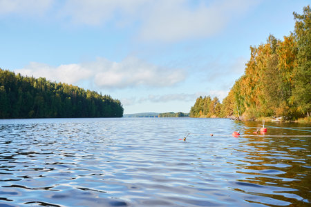 Forest lake on a sunny day. Red mooring buoys close-up. Finland. Scandinavia, Europe. Autumn landscape. Nature, ecotourism, equipment, safety conceptsの写真素材