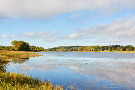 Forest lake on a sunny day. Finland. Scandinavia, Europe. Clear sky, glowing clouds. Autumn landscape. Nature, seasons, ecotourism, peace and harmony conceptsの写真素材