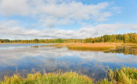 Forest lake on a sunny day. Finland. Scandinavia, Europe. Clear sky, glowing clouds. Autumn landscape. Nature, seasons, ecotourism, peace and harmony conceptsの写真素材