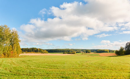 Forest meadow ot agricultural field on a sunny day. Pure morning sunlight, sunshine. Finland. Rural scene. Nature, seasons, environment, ecology themesの写真素材