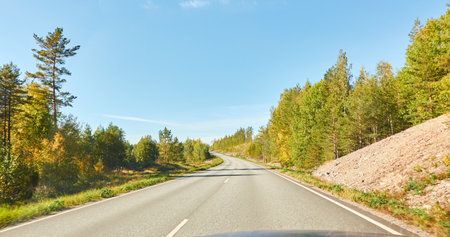 Empty asphalt road (highway) through the evergreen forest. Concept autumn landscape. Transportation, logistics, freedom, travel, tourism, wanderlust, the way forward themesの写真素材