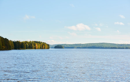 Forest lake on a sunny day. Finland. Scandinavia, Europe. Clear sky, glowing clouds. Autumn landscape. Nature, seasons, ecotourism, peace and harmony conceptsの写真素材