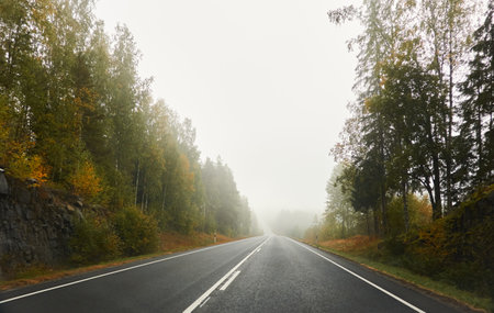 Empty asphalt road (highway) through the fields and forest. Thick fog. Concept autumn landscape. Transportation, dangerous driving, speed, freedom, travel, tourism, the way forward themesの写真素材