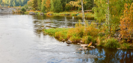 Forest lake (river) on a cloudy day. Stones, trees, plants. Finland. Idyllic autumn landscape. Pure nature, ecology, ecological reserve, ecotourismの写真素材