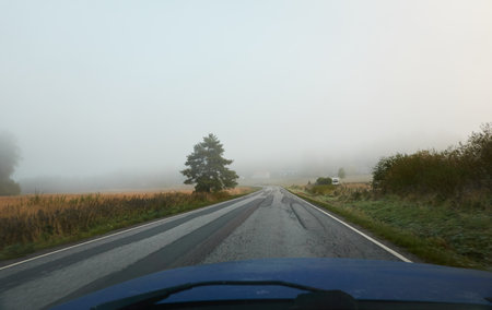 Empty asphalt road (highway) through the fields and forest. Thick fog. Concept autumn landscape. Transportation, dangerous driving, speed, freedom, travel, tourism, the way forward themesの写真素材