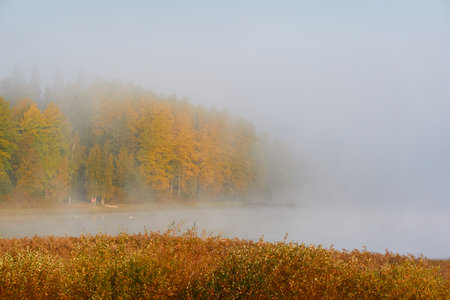 Forest lake in a morning fog. Finland. Scandinavia, Europe. Autumn landscape. Nature, seasons, ecotourism, peace and harmony conceptsの写真素材