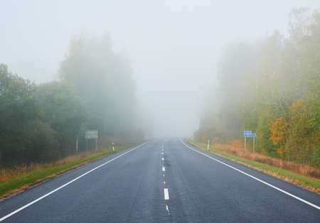Empty asphalt road (highway) through the forest. Thick fog. Concept autumn landscape. Transportation, dangerous driving, speed, freedom, travel, tourism, the way forward themesの写真素材