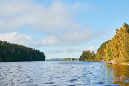 Forest lake on a sunny day. Finland. Scandinavia, Europe. Clear sky, glowing clouds. Autumn landscape. Nature, seasons, ecotourism, peace and harmony conceptsの写真素材
