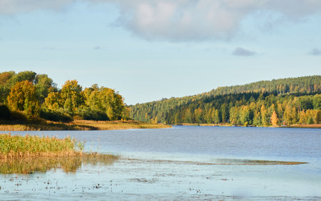 Forest lake on a sunny day. Finland. Scandinavia, Europe. Clear sky, glowing clouds. Autumn landscape. Nature, seasons, ecotourism, peace and harmony conceptsの写真素材
