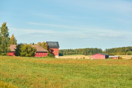 Traditional wooden house or farm near the forest. Sunny day. Early autumn in Finland. Idyllic rural scene, country landscape. Nature, remote places, village, farming, harvesting, ecotourism themesの写真素材
