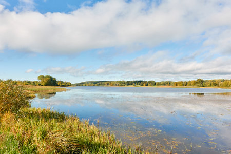 Forest lake on a sunny day. Finland. Scandinavia, Europe. Clear sky, glowing clouds. Autumn landscape. Nature, seasons, ecotourism, peace and harmony conceptsの写真素材