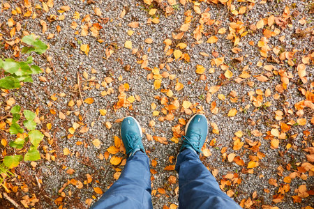 Man standing on a gravel road (trail). Blue jeans and trekking boots. Forest park. Green and golden autumn leaves. Concept landscape. Lifestyle, outdoors, leisure activities, sport, hiking, ecotourismの写真素材
