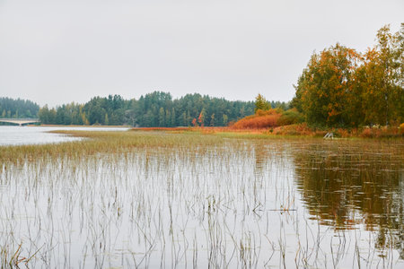 Forest lake (river) on a cloudy day. Reflections in water. Glowing clouds after the rain. Finland. Idyllic autumn landscape. Pure nature, ecology, ecological reserve, ecotourismの写真素材