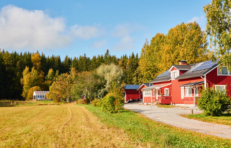 Traditional wooden house or farm near the forest. Sunny day. Early autumn in Finland. Idyllic rural scene, country landscape. Nature, remote places, village, farming, harvesting, ecotourism themesの写真素材