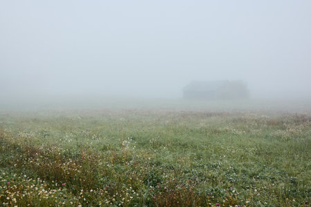 Lonely wooden farm house or shed (log cabin) in a thick fog at sunrise. Forest lawn, meadow, overgrown agricultural field. Atmospheric autumn landscape. Finlandの写真素材