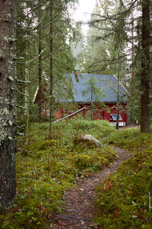 Pathway to the wooden house. Evergreen forest. Pine and spruce trees. Autumn landscape. Finland. Scandinavia. Pure nature, environment, weekend getaway, camping, eco tourism, fresh airの写真素材