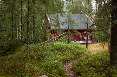 Pathway to the wooden house. Evergreen forest. Pine and spruce trees. Autumn landscape. Finland. Scandinavia. Pure nature, environment, weekend getaway, camping, eco tourism, fresh airの写真素材