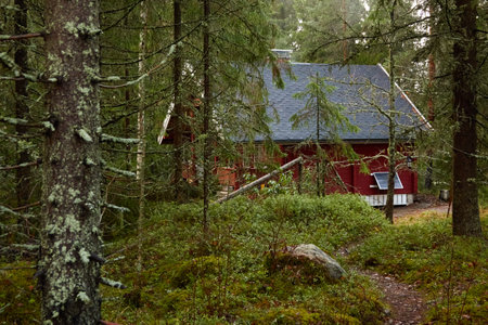Pathway to the wooden house. Evergreen forest. Pine and spruce trees. Autumn landscape. Finland. Scandinavia. Pure nature, environment, weekend getaway, camping, eco tourism, fresh airの写真素材