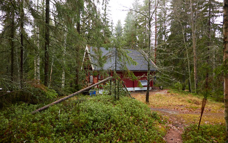 Pathway to the wooden house. Evergreen forest. Pine and spruce trees. Autumn landscape. Finland. Scandinavia. Pure nature, environment, weekend getaway, camping, eco tourism, fresh airの写真素材