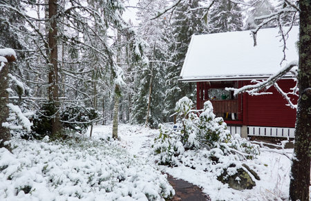 Traditional wooden house colored with falu red dye. First snow in autumn. Early winter. Evergreen forest, mighty pine and spruce trees. Finland. Nature, ecology, eco tourismの写真素材