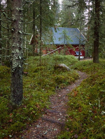 Pathway to the wooden house. Evergreen forest. Pine and spruce trees. Autumn landscape. Finland. Scandinavia. Pure nature, environment, weekend getaway, camping, eco tourism, fresh airの写真素材