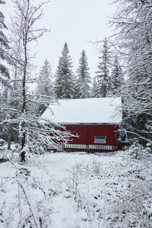 Traditional wooden house colored with falu red dye, solar panel. First snow in autumn. Early winter. Evergreen forest, mighty pine and spruce trees. Finland. Alternative energy, ecology, eco tourismの写真素材