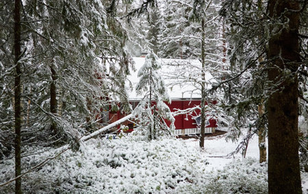 Traditional wooden house colored with falu red dye. First snow in autumn. Early winter. Evergreen forest, mighty pine and spruce trees. Finland. Nature, ecology, eco tourismの写真素材