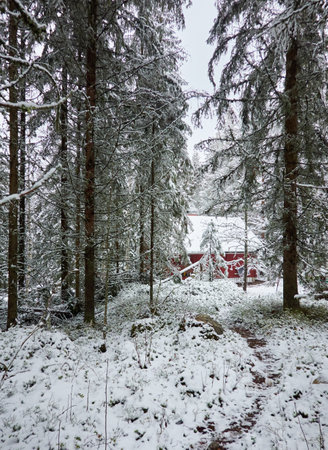 Traditional wooden house colored with falu red dye. First snow in autumn. Early winter. Evergreen forest, mighty pine and spruce trees. Finland. Nature, ecology, eco tourismの写真素材