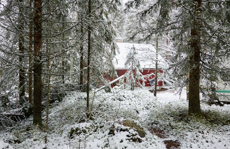 Traditional wooden house colored with falu red dye. First snow in autumn. Early winter. Evergreen forest, mighty pine and spruce trees. Finland. Nature, ecology, eco tourismの写真素材